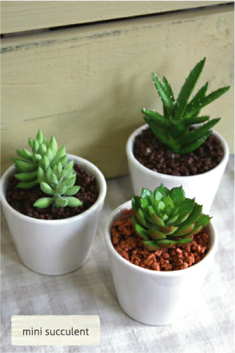 楽天市場 ミニサキュレント 多肉植物 丸鉢 Succulent 造花 Ct触媒 消臭 抗菌 防カビ効果 フェイクグリーンのお店 Mintcafe