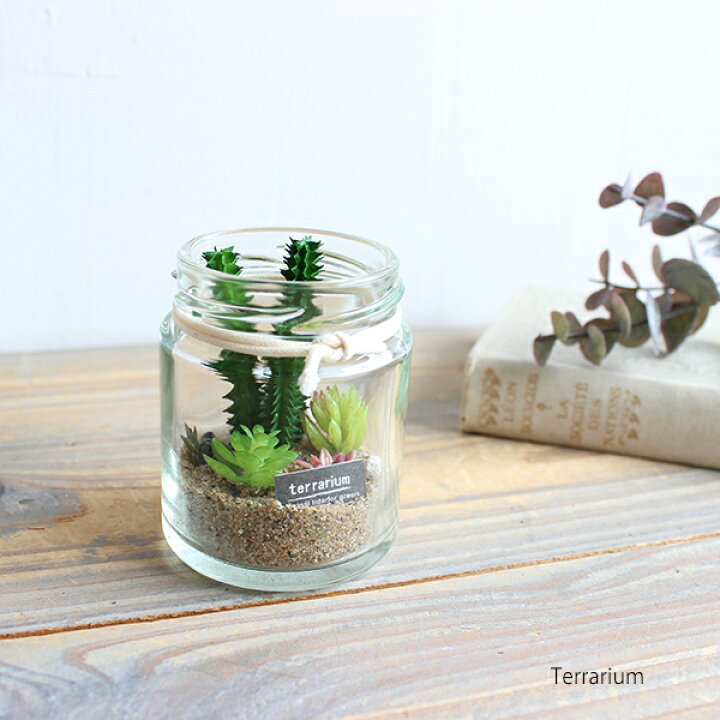 楽天市場 テラリウム Miniボトル Terrarium 多肉植物 フェイクグリーン 造花 インテリア フェイクグリーンのお店 Mintcafe