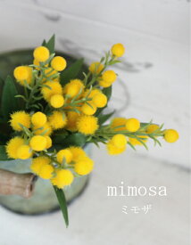楽天市場 ミモザ 花束の通販