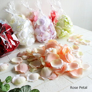 uC_ [Y y^ `ỏԂт100`  t[V[ uC_ KN A[eBtBVt[ A[gt[ X fBXvC t[AW  EF