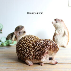 nlY~ wbWzbN Xjbt G I[ig Aj}