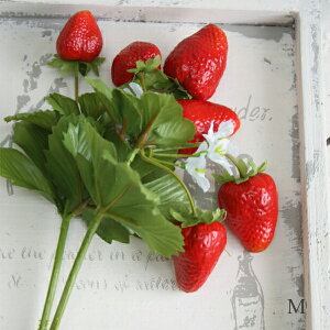 ̃sbN M bh  23017  CeA K[fG A ~j  ʎ t[c 킢  HiTv   Xgx[