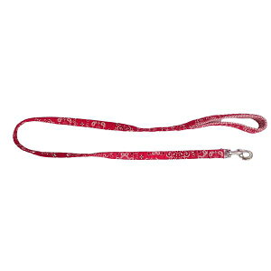 y12/5́IP9{z o_iNbV[h M bh (pi/[h)