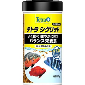 （まとめ）テトラ シクリッド ミニスティック 75g 熱帯魚用フード 【×3セット】
