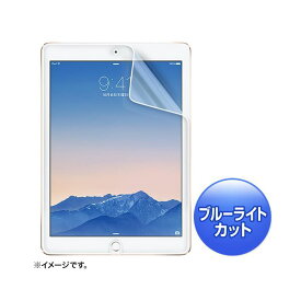 【ポイント10倍! 4/26楽天勝利+マラソン】 (まとめ)サンワサプライ iPadAir2用ブルーライトカット液晶保護指紋反射防止フィルム LCD-IPAD6BCAR【×2セット】