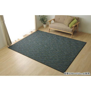 �y�|�C���g8�{�z �o���u�[ ���O�}�b�g/�O�~ �i�u���b�N ��190×300cm�j �|�� ���n �R�ۍ�p ���ϋv�� �k���r���O�l