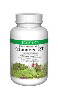 ECLECTIC(GNNeBbN) GLiVART()(135JvZ) n[uTvg e046