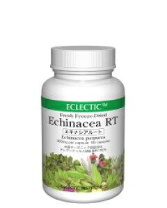 ECLECTIC(GNNeBbN) GLiVART()(90JvZ) n[uTvg R e044