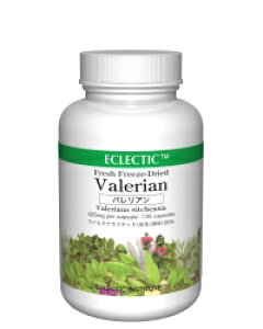  ECLECTIC(GNNeBbN) oAiJmR) (135JvZ)yECLECTIC(GNNeBbN)z e064