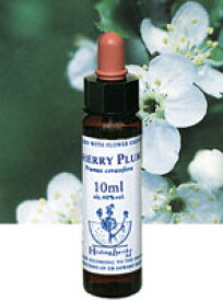 【ネコポスで送料無料】Healing Herbs No.3 チェリープラムエキス 10ml[HealingHerbs(ヒーリングハーブス) フラワーエッセンスヒーリングハーブス]