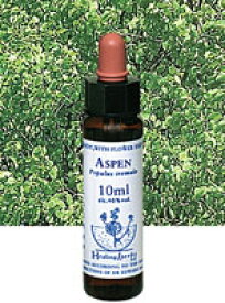 【ネコポスで送料無料】Healing Herbs No.4 アスペンエキス 10ml[HealingHerbs(ヒーリングハーブス) フラワーエッセンスヒーリングハーブス]