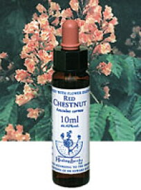 【ネコポスで送料無料】Healing Herbs No.5 レッドチェスナットエキス 10ml[HealingHerbs(ヒーリングハーブス) フラワーエッセンスヒーリングハーブス]