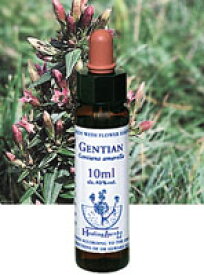 【ネコポスで送料無料】Healing Herbs No.8 ゲンチアナエキス 10ml[HealingHerbs(ヒーリングハーブス) フラワーエッセンスヒーリングハーブス]