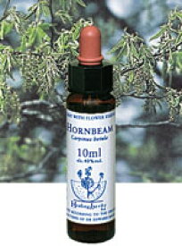 【ネコポスで送料無料】Healing Herbs No.10 ホーンビームエキス 10ml[HealingHerbs(ヒーリングハーブス) フラワーエッセンスヒーリングハーブス]