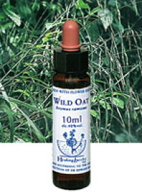 【ネコポスで送料無料】Healing Herbs No.11 ワイルドオートエキス 10ml[HealingHerbs(ヒーリングハーブス) フラワーエッセンスヒーリングハーブス]