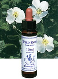 【ネコポスで送料無料】Healing Herbs No.14 ワイルドローズエキス 10ml[HealingHerbs(ヒーリングハーブス) フラワーエッセンスヒーリングハーブス]フラワーエッセンスNo.14