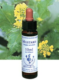 【ネコポスで送料無料】Healing Herbs No.17 マスタードエキス 10ml[HealingHerbs(ヒーリングハーブス) フラワーエッセンスヒーリングハーブス]