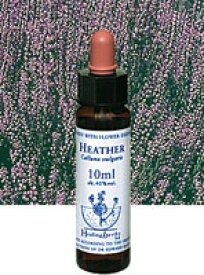 【ネコポスで送料無料】Healing Herbs No.21 ヘザーエキス 10ml[HealingHerbs(ヒーリングハーブス) フラワーエッセンスヒーリングハーブス]