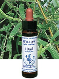 【ネコポスで送料無料】Healing Herbs No.31 ウィロウエキス 10ml[HealingHerbs(ヒーリングハーブス) フラワーエッセンスヒーリングハーブス]