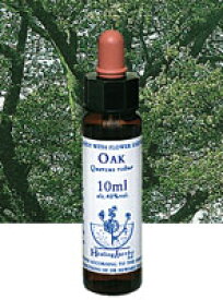 【ネコポスで送料無料】Healing Herbs No.32 オークエキス 10ml[HealingHerbs(ヒーリングハーブス) フラワーエッセンスヒーリングハーブス]