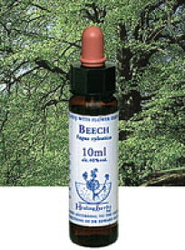 【ネコポスで送料無料】Healing Herbs No.37 ビーチエキス 10ml[HealingHerbs(ヒーリングハーブス) フラワーエッセンスヒーリングハーブス]