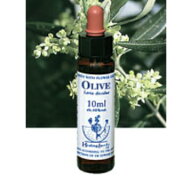 【ネコポスで送料無料】Healing Herbs No.15 オリーブエキス 10ml[HealingHerbs(ヒーリングハーブス) フ…