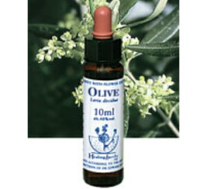 �y�l�R�|�X�ő��������zHealing Herbs No.15 �I���[�u�G�L�X 10ml[HealingHerbs(�q�[�����O�n�[�u�X) �t�����[�G�b�Z���X�q�[�����O�n�[�u�X]