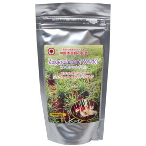 ylR|Xőzق̗₦AX_EʁI傤iIj100g VEK