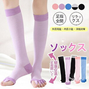 w \bNX L 5{w  ₦΍ Zs[ C QƂ bNX K\bNX nC\bNX fB[X Y ŵ΂