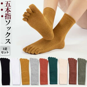 Cܖ{w\bNX ܖ{wC fB[X 3Zbg  C n \bNX JWA J[Lx r O tďH~@̓