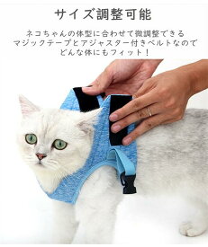 胴輪 ハーネス 猫 愛猫用 ソフトハーネス リードセット 猫用ハーネス ねこネコ子猫 抜けない 引っ張り防止 犬猫兼用 散歩用 お出かけ 通院 簡単装着 犬用 快適 装着しやい おしゃれ