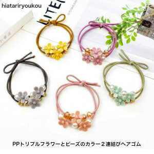 wAS@PPgvt[ƃr[Y2AуJ[wASd 20 30 40 50 @v`v@킢@l@o@ANZ@LbY