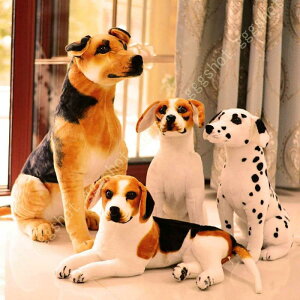 W[}VFp[h ʂ  A  W[}VFp[h l`  ʂ X[p[ʂ A NbV