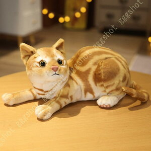 ʂ L ˂  傫 LD lRʂ L j ӂӂ  ʂ Ԃ ʂ L X^C 