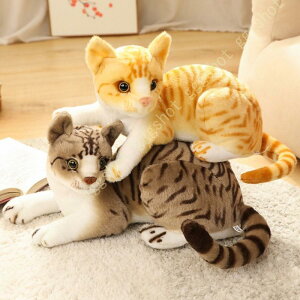 ʂ ˂ L  L lR l` D ӂӂ n  􂦂 o^Cf[ v[g @\ ޏւ̑蕨 FB l