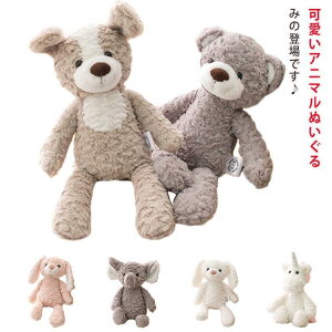  LbY xr[  Aj} q Ԃ  q ʂ Mtg v[g H~  oYj  