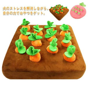 ybgpi pi m[Y[N ɂ񂶂񔨕   C`S ʂ  L ˂ Vяꏊ iP ^s