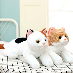 ʂ L ˂  傫 lRʂ LD L j ӂӂ ʂ  Ԃ ʂ L X^C 