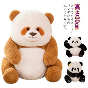 p_ ʂ q v[g  NX}X Aj} a Gӂӂ   p_t@ 蕨 X 