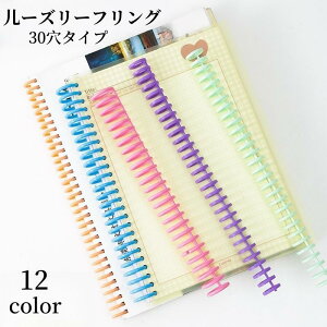 [Y[tO [Y[toC_[ [YO [YNbv [ 30 a22mm Ƃ ۑ  J_[ 蒠 N