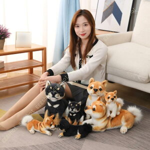 Ck    傫 ʂ  Ck LO IV X[p[\tg _炩  a wj bNX j̎q̓ A