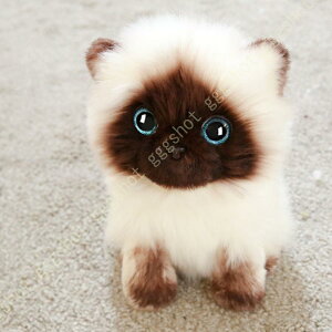  D 傫  ˂ʂ L   YQ  ӂӂ l` ̎q v[g u X CeA NbV