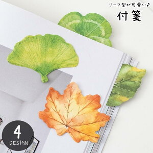 t ӂ pbh p  bZ[WJ[h [ G 30 傫 L t [t gt ݂  lt̃N[