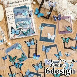 t[N[V[ XebJ[ xV[ 蒠 L m[g XPW[ XNbv Ao R[W  킢 30V[  o