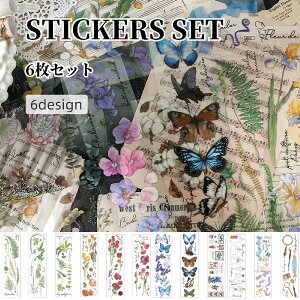 V[ XebJ[ x 6Zbg fR [ R[W fR[V 蒠fR X}zP[XfR  A t[  AeB[N i