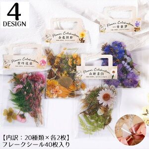 t[NV[ XebJ[ 40Zbg R[W  A 蒠fR Ao L J_[ v[g Mtg g