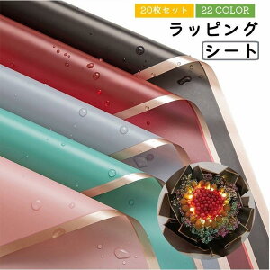  bsOV[g ԑ Mtg bsO u[P h 20Zbg 56cm 56cm  bsO v[g   V