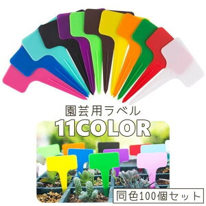 |px 100Zbg T^ Ap^O O^O }[J[ t[J[h Ԓd A ƒ؉  K[f  l[^O JoL