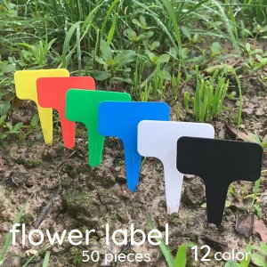 t[x 50Zbg |px K[fjO |pi RpNg Aؔ v^[ vX`bN Jɋ 킢  