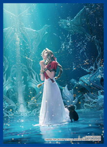 \񁟃t@Cit@^W[ J[hX[u GAX(FFCSS-21)